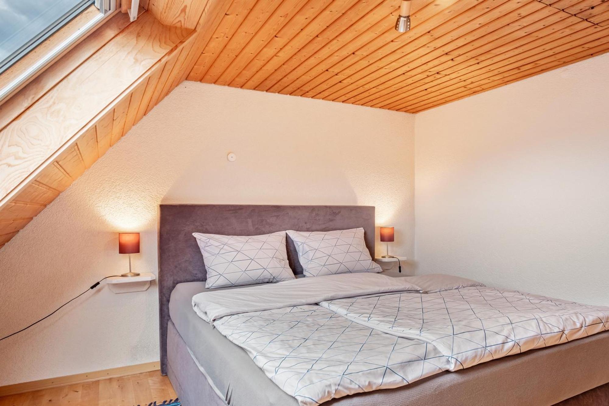 Appartement Lehen Freiburg im Breisgau Eksteriør billede