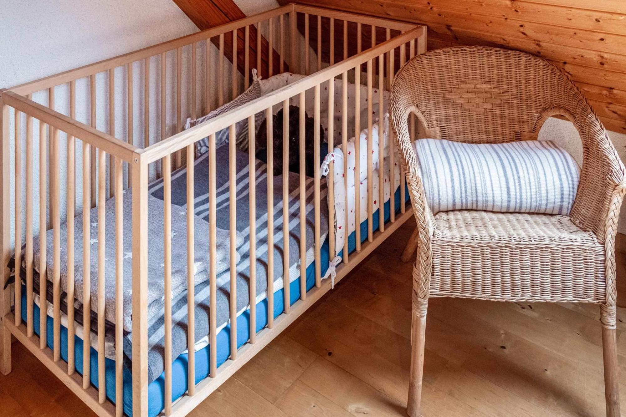Appartement Lehen Freiburg im Breisgau Eksteriør billede