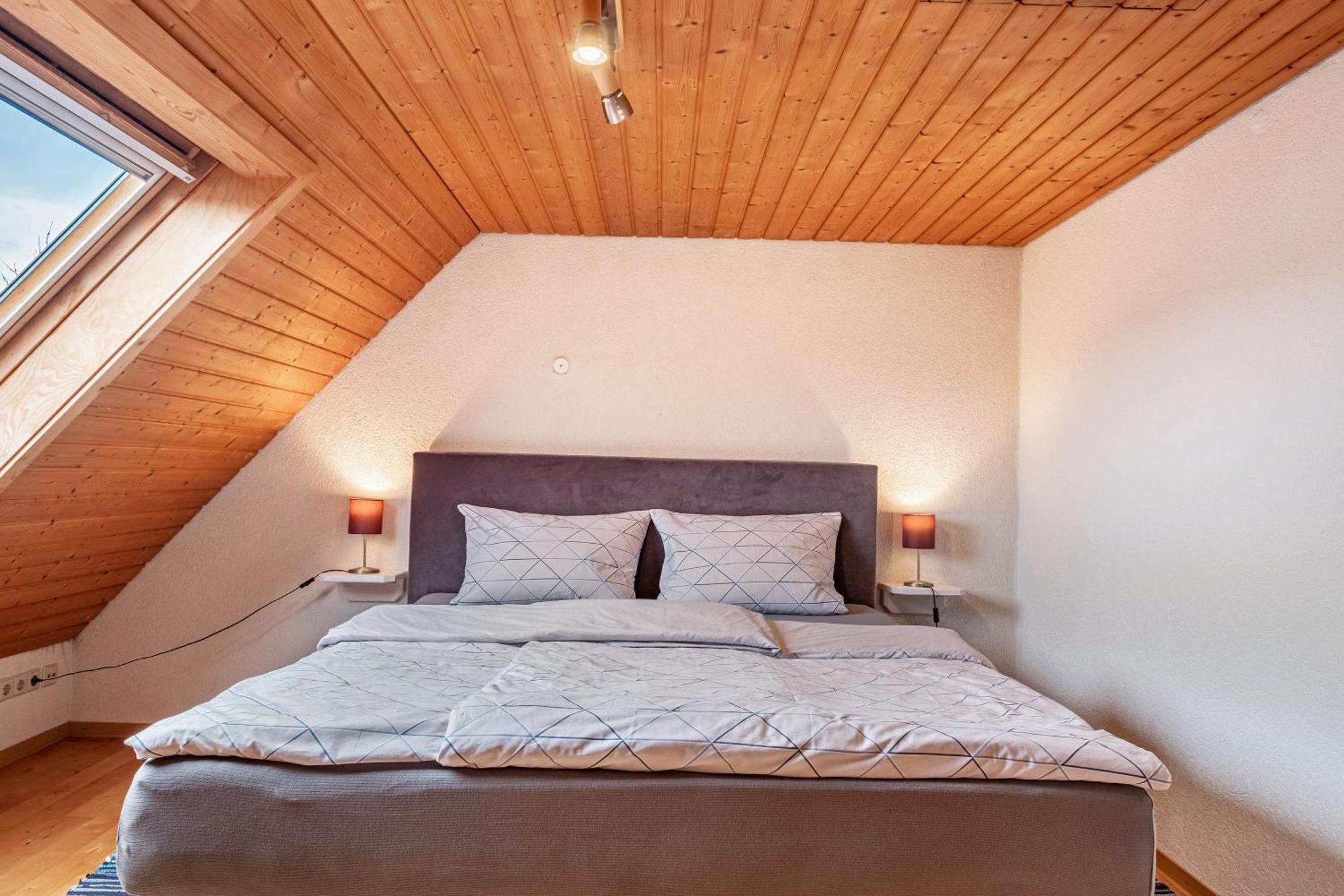 Appartement Lehen Freiburg im Breisgau Eksteriør billede